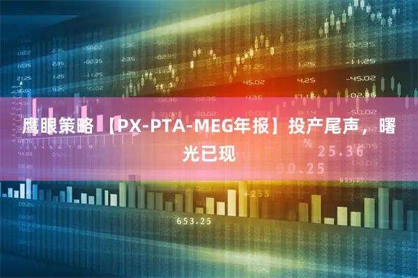 鹰眼策略 【PX-PTA-MEG年报】投产尾声，曙光已现