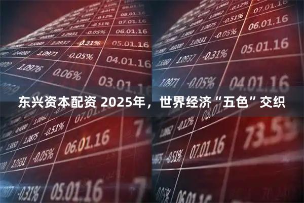 东兴资本配资 2025年，世界经济“五色”交织