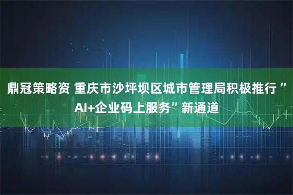 鼎冠策略资 重庆市沙坪坝区城市管理局积极推行“AI+企业码上服务”新通道
