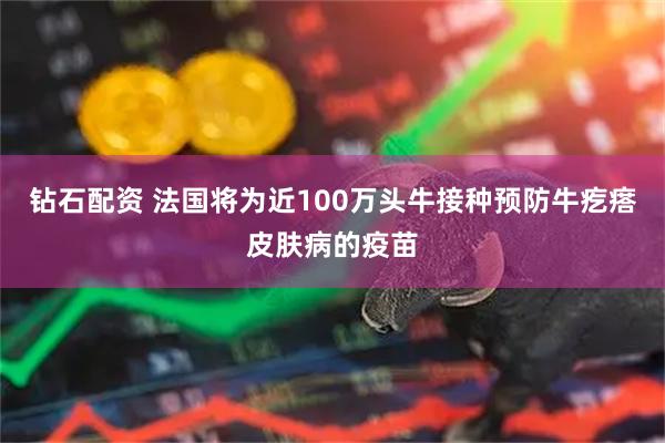 钻石配资 法国将为近100万头牛接种预防牛疙瘩皮肤病的疫苗